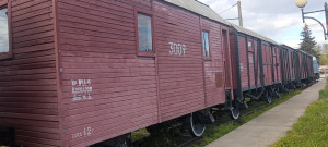 IMG_20260429_175601.jpg