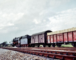 57011.jpg